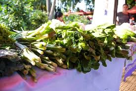 Pondrán en funcionamiento el Consejo Consultivo de Desarrollo Económicoa