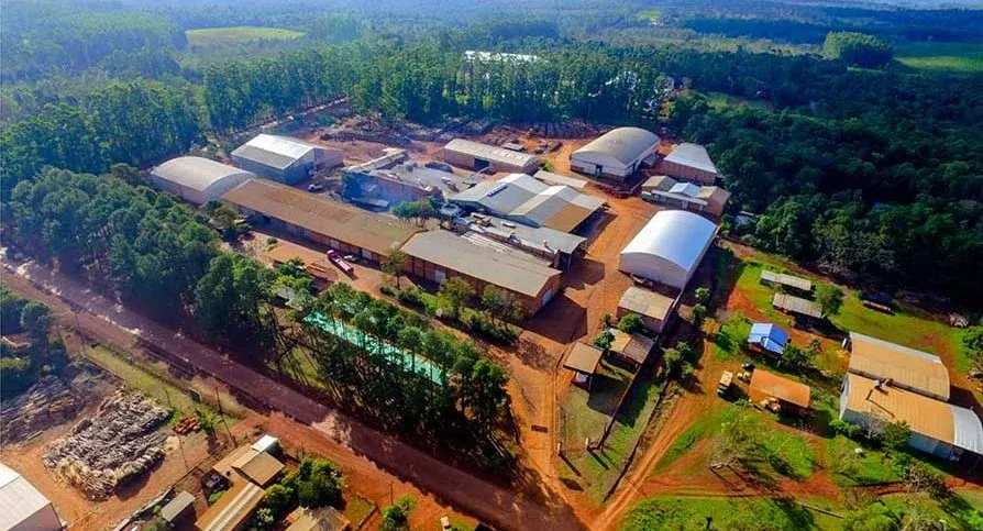 Se declaró en crisis la Cooperativa Yerbatera Andresito Ltda.