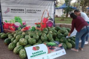 Productores de sandía registran pocas ventas