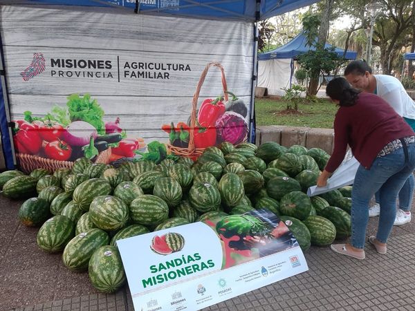 Productores de sandía registran pocas ventas