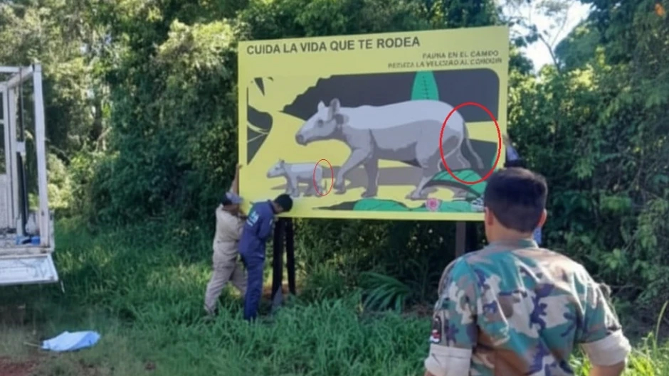 Passalacqua puso carteles para proteger a los tapires pero los dibujó con cola y sin trompa