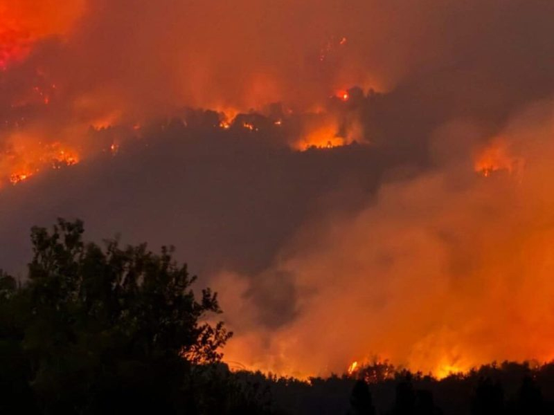 Las tres decisiones del gobierno que agravaron los incendios de la Patagonia