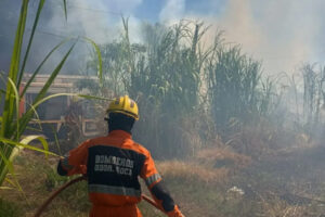 Alerta por incendios en Misiones: casi 50 intervenciones en las últimas 48 horas