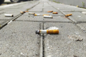 Hongos contra las colillas de cigarrillos: desde la UNR y el CONICET desarrollan técnica para transformar residuos tóxicos