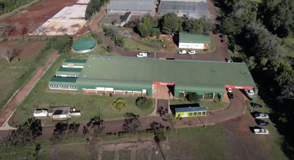 Misiones disuelve la empresa de cannabis Misio-Pharma por la crisis económica