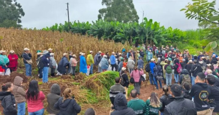 Pozo Azul reunió a productores de Sudamérica en un encuentro clave sobre semillas criollas