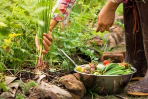 18 de junio: Día de la Gastronomía Sostenible