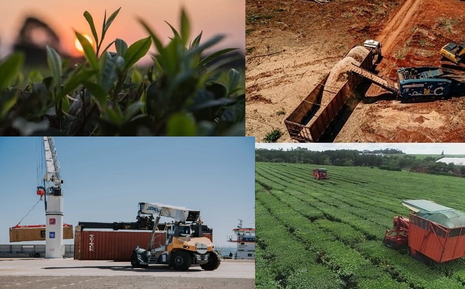 Misiones: Once de quince indicadores económicos cerraron el primer trimestre en rojo