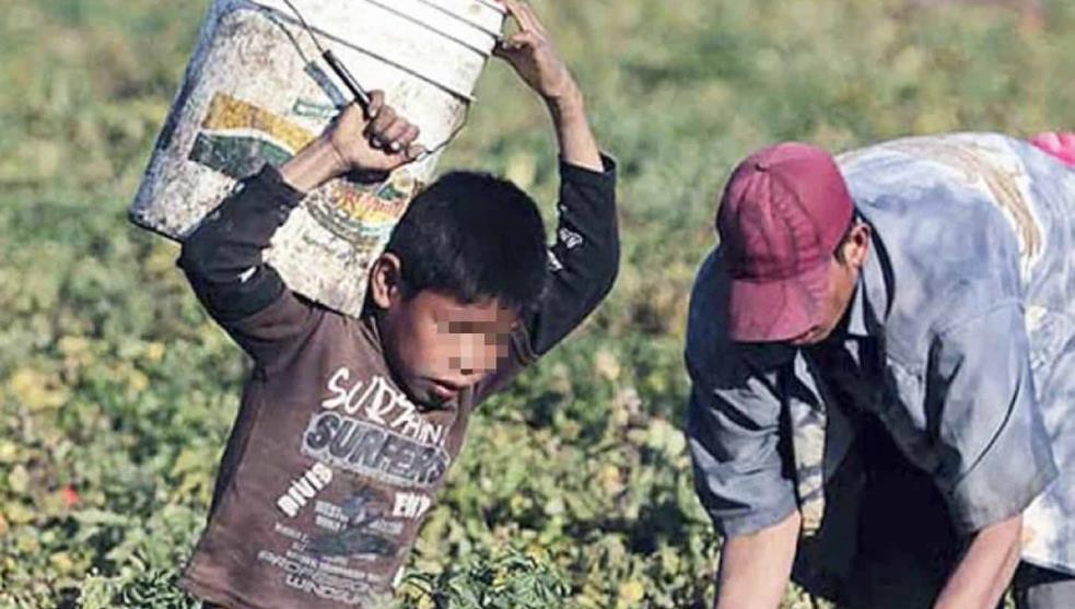 Misiones detectó tres casos de trabajo infantil en 2025 y advierte un aumento del empleo adolescente