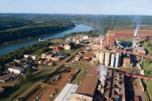 La Corte Suprema ahora falló contra otra polémica Ley de Rovira que generaba rechazo entre las grandes industrias forestales