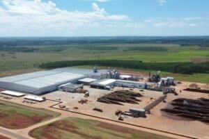 ACON Timber, el aserradero más grande y más moderno del país, admitió dificultades: “Nos está costando”